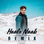 Sina Derakhshande Haale Naab Remix